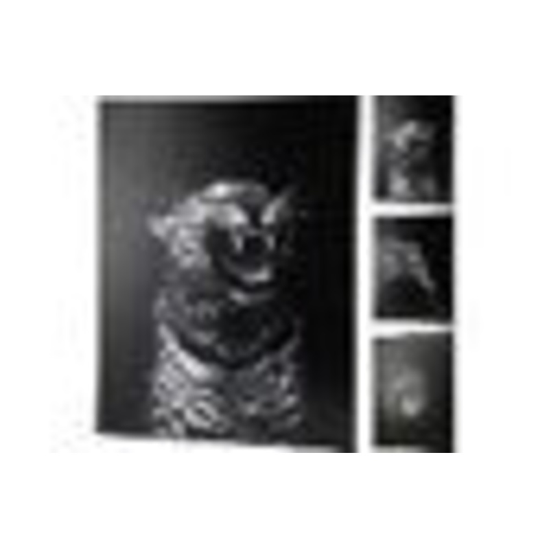 Animal Wall Art 39Cm X 59Cm