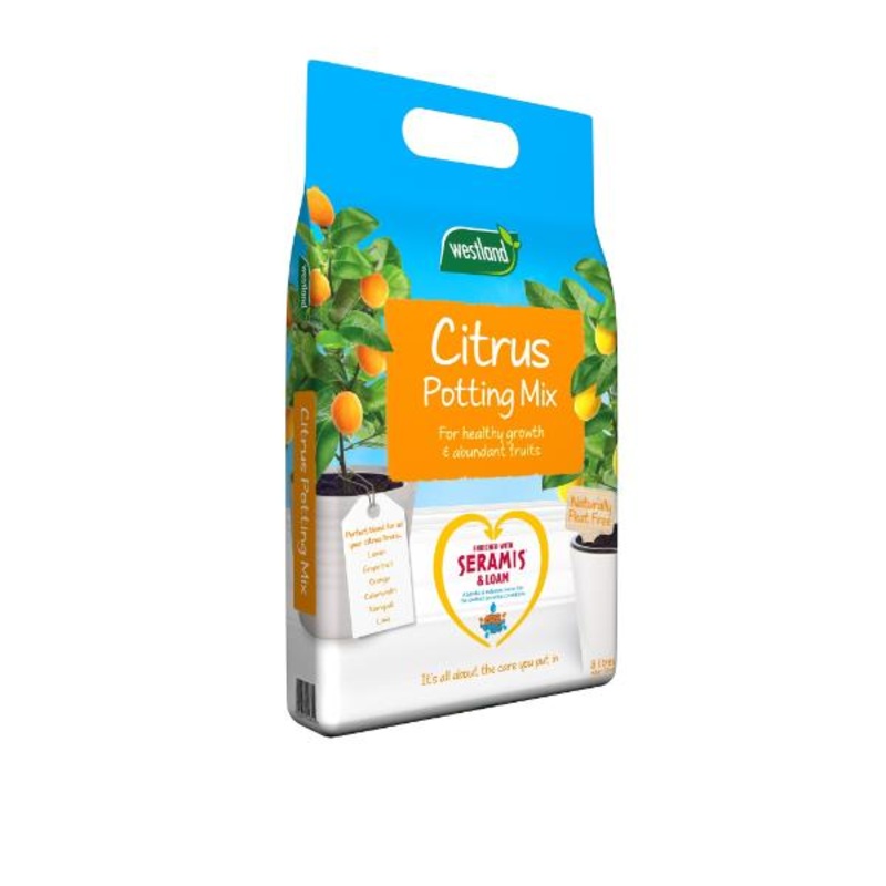 Westland Citrus Potting Compost Mix Peat Free