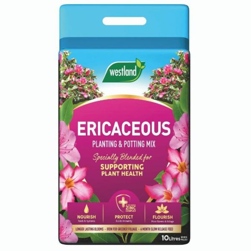 Westland Ericaceous Planting & Potting Mix Pouch