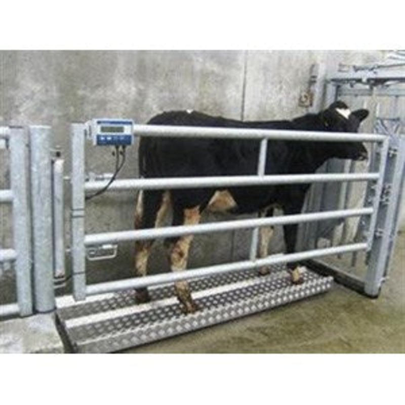 O’Neill Livestock Weighing Scales