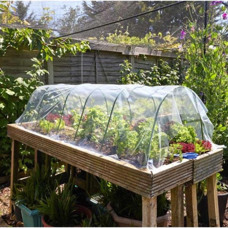 Smart Films And Fabrics G50 Poly Sheet  Clear  2X5m