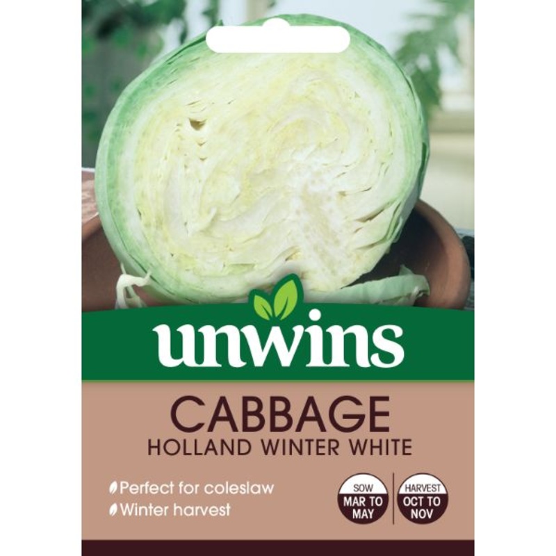 Unwins Seed Packet Cabbage Holland Winter White