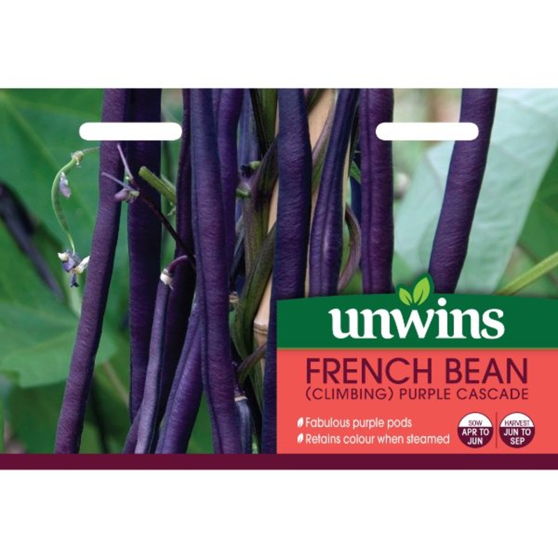 Unwins Seed Packet French Bean Climbing Purple Cascade