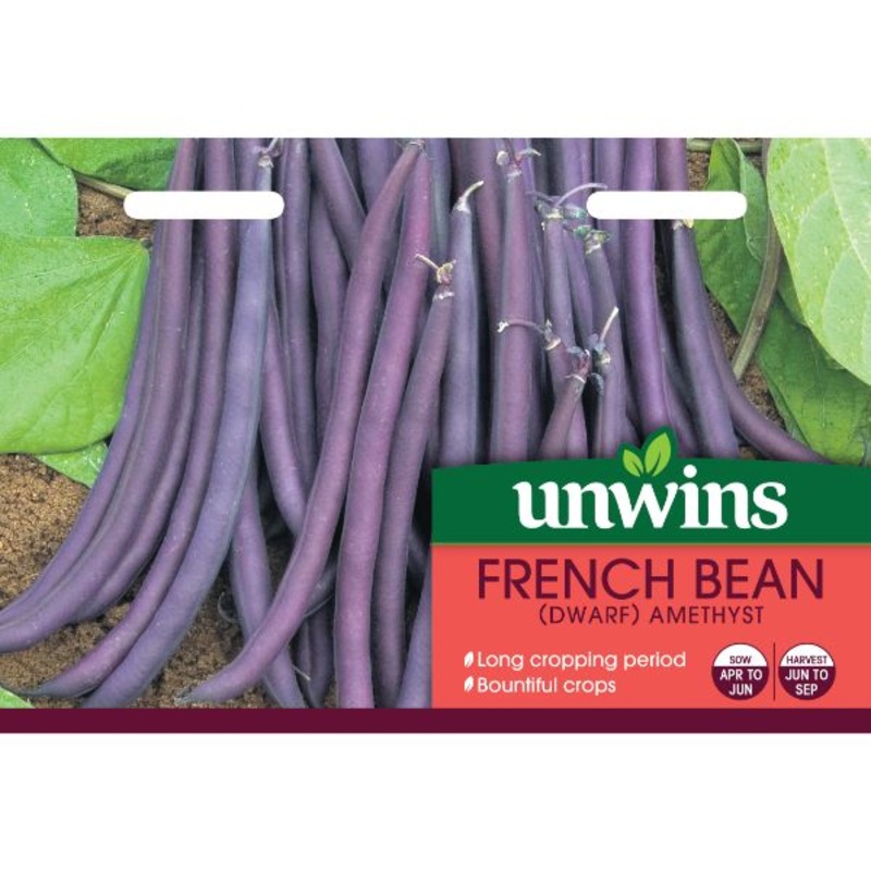 Unwins Seed Packet French Bean Dwarf Amethyst
