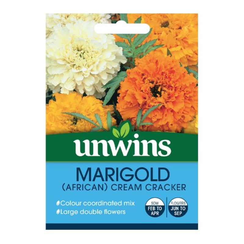 Unwins Seed Packet Marigold African Cream Cracker