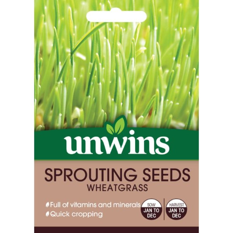 Unwins Seed Packet Sprouting Seeds Wheatgrass