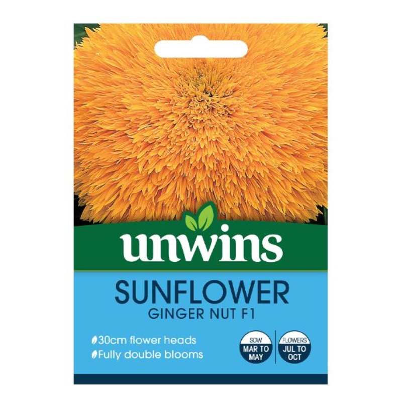Unwins Seed Packet Sunflower Ginger Nut F1
