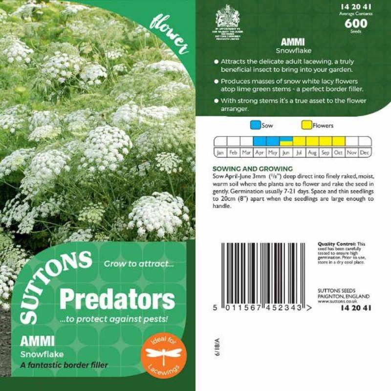 P & P – Ammi Snowflake