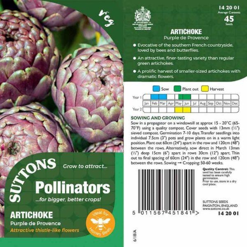 P & P – Artichoke Purple de Provence