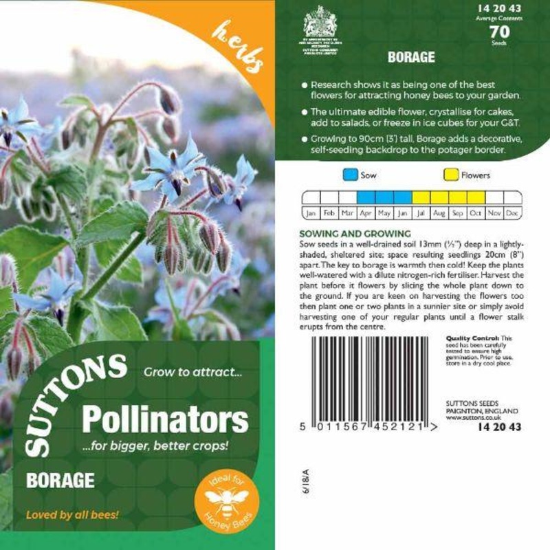 P & P – Borage