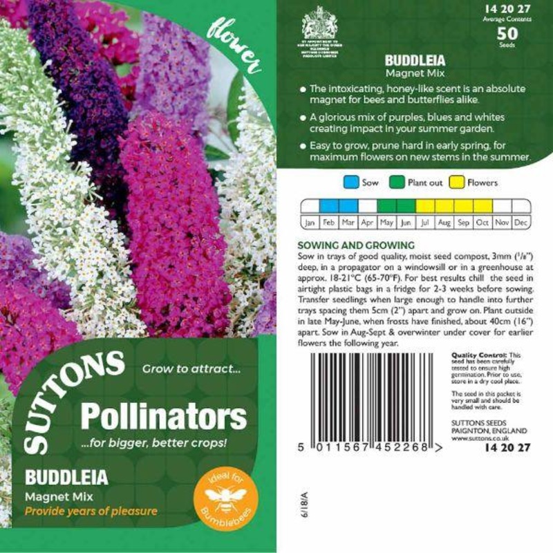 P & P – Buddleia Magnet Mix