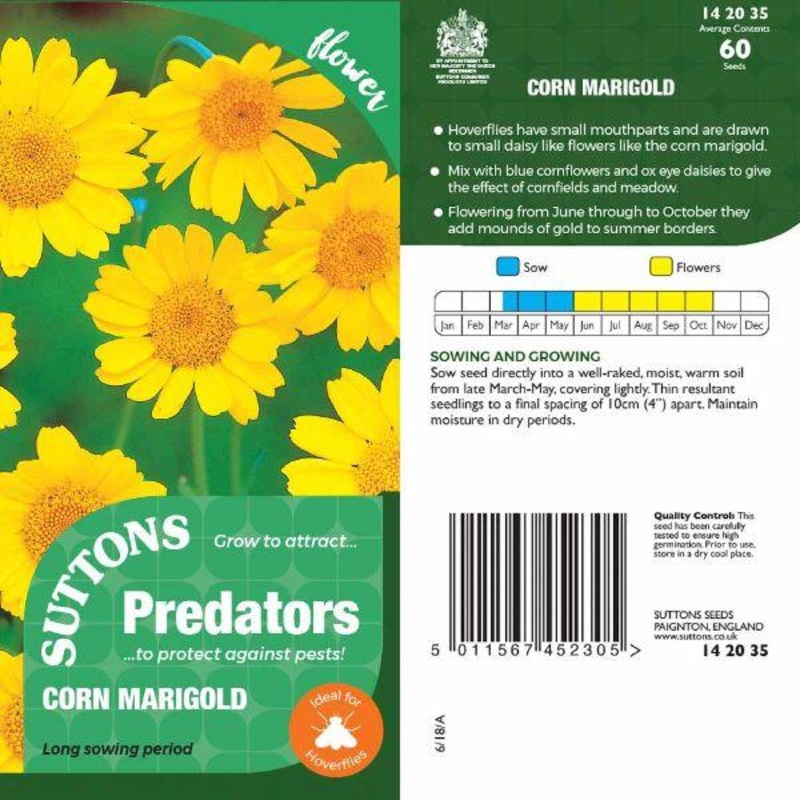 P & P – Corn Marigold