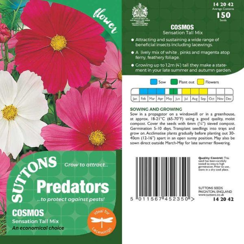 P & P – Cosmos Sensation Tall