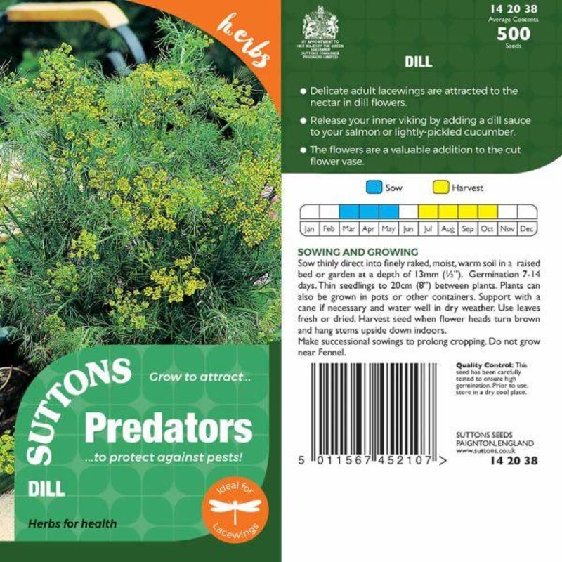 P & P – Dill