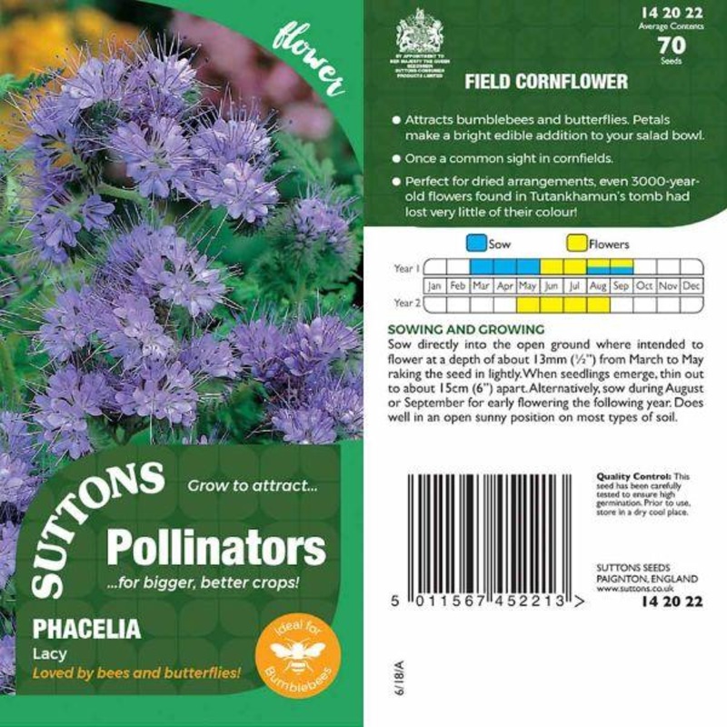 P & P – Field Cornflower