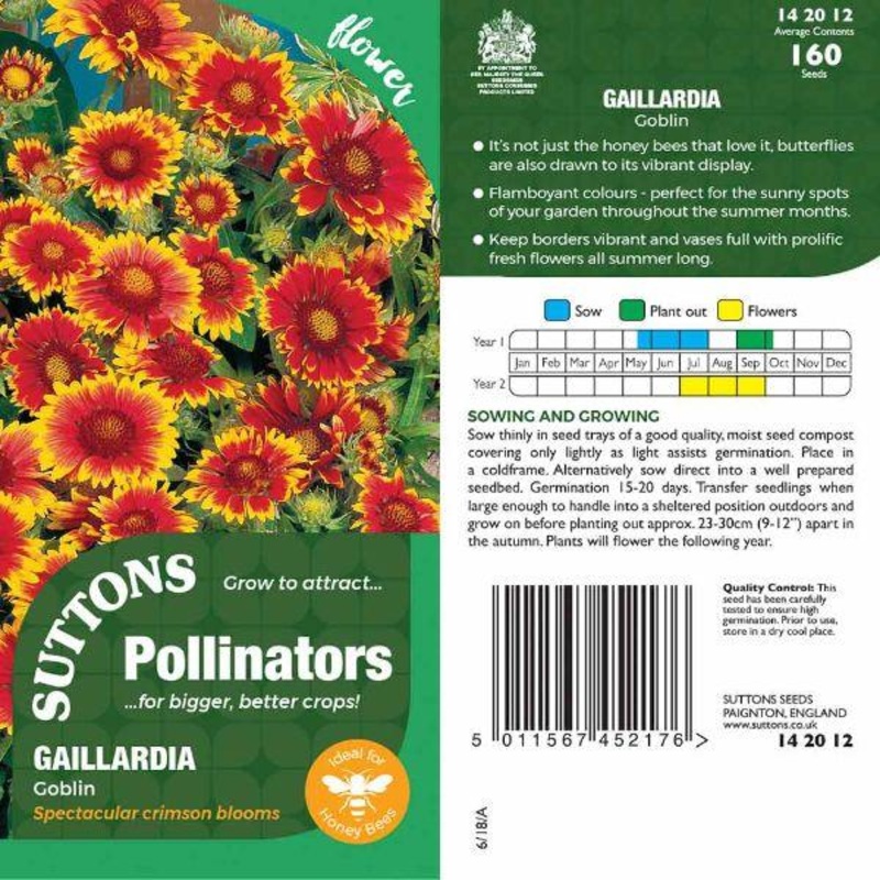 P & P – Gaillardia Goblin