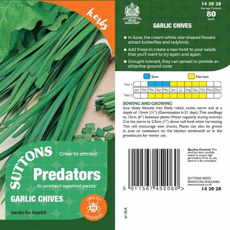 P & P – Garlic Chives