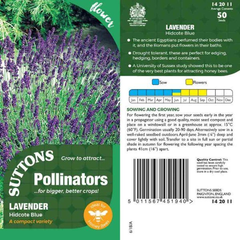 P & P – *Lavender Hidcote Blue