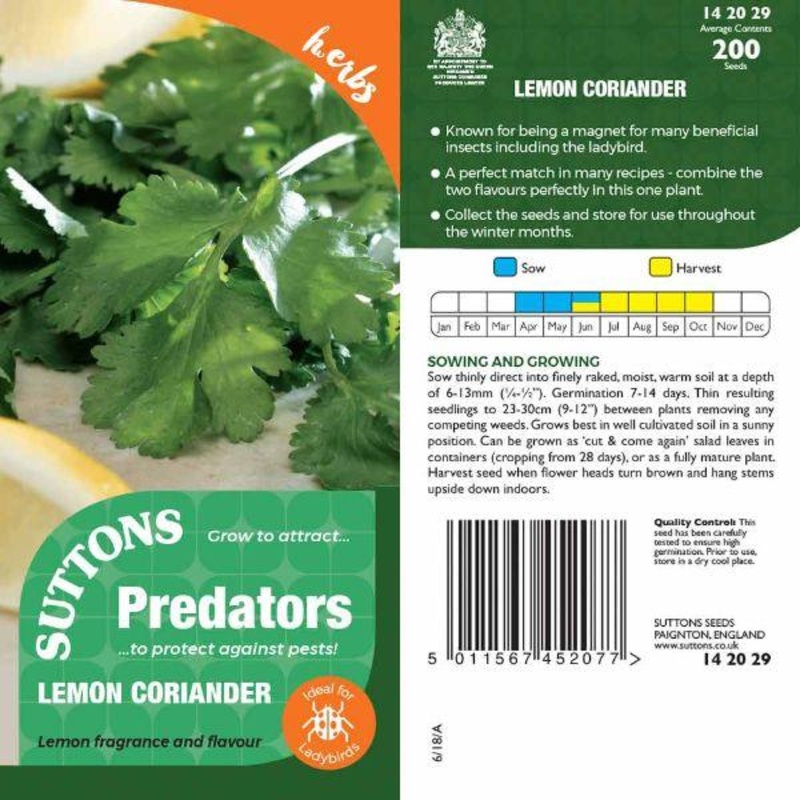 P & P – Lemon Coriander