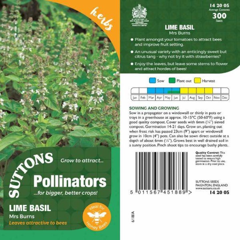 P & P – Lime Basil Mrs Burns