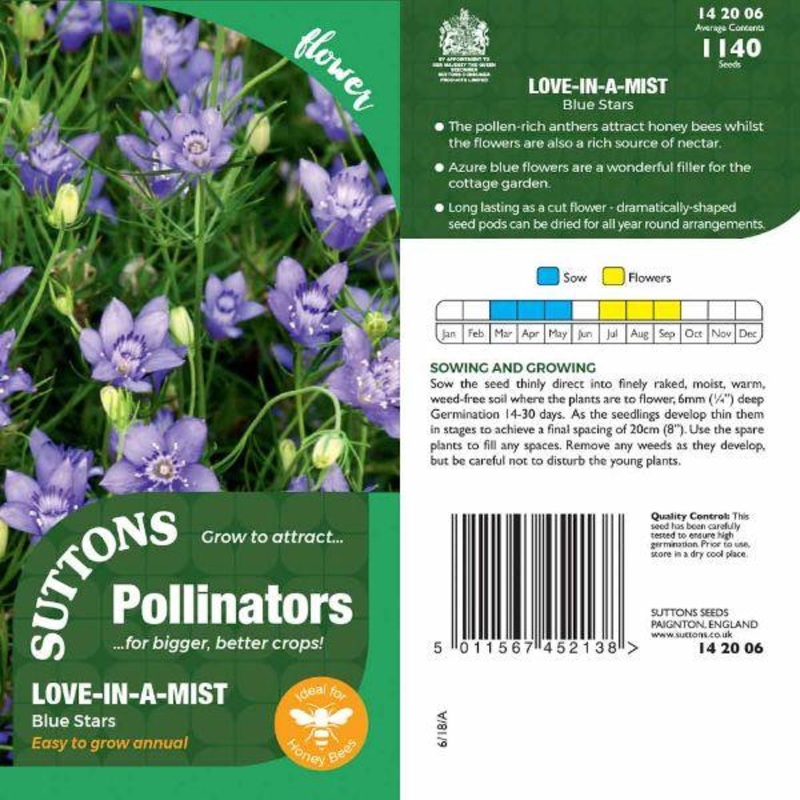 P & P –  Love-in-a-Mist Blue Stars