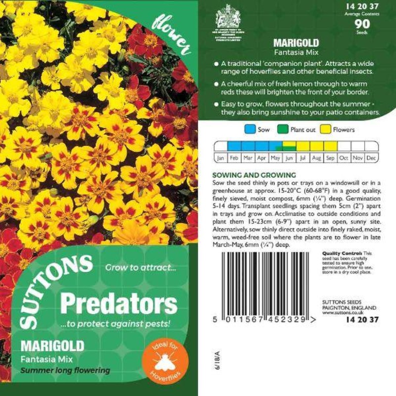P & P – Marigold Fantasia