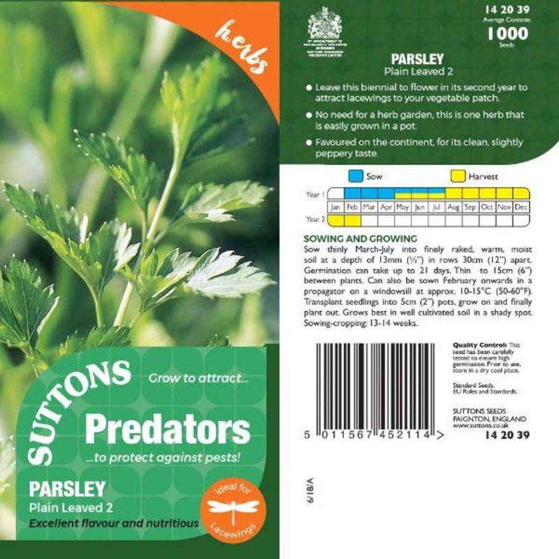 P & P – Parsley Plain Leaved 2