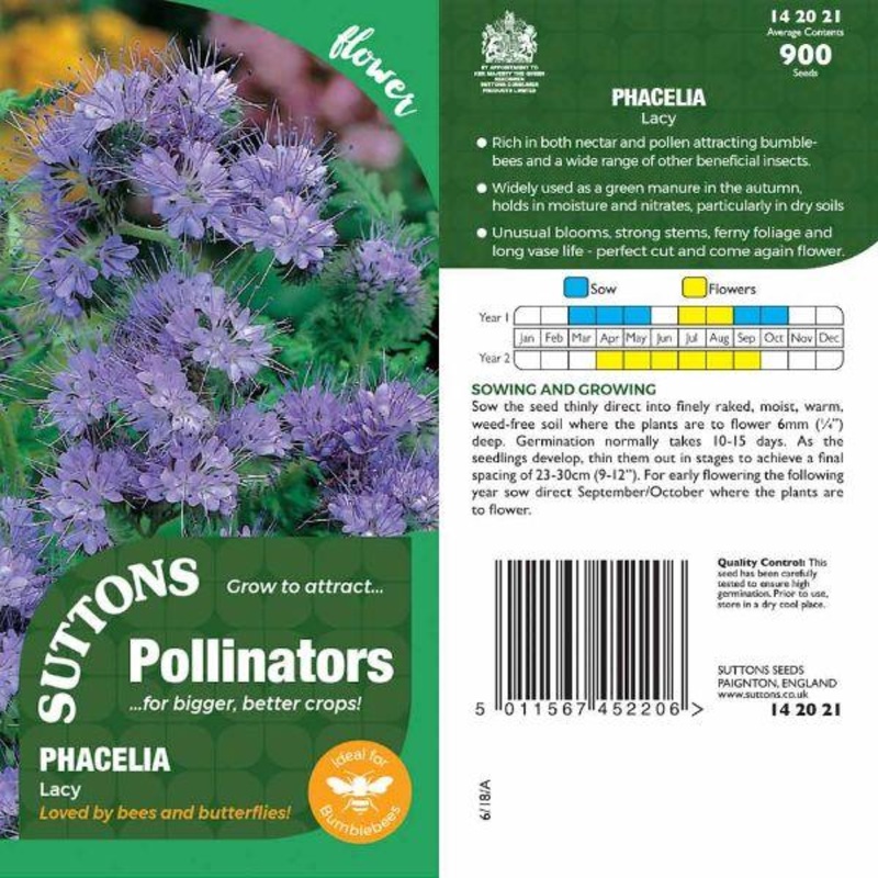 P & P – Phacelia