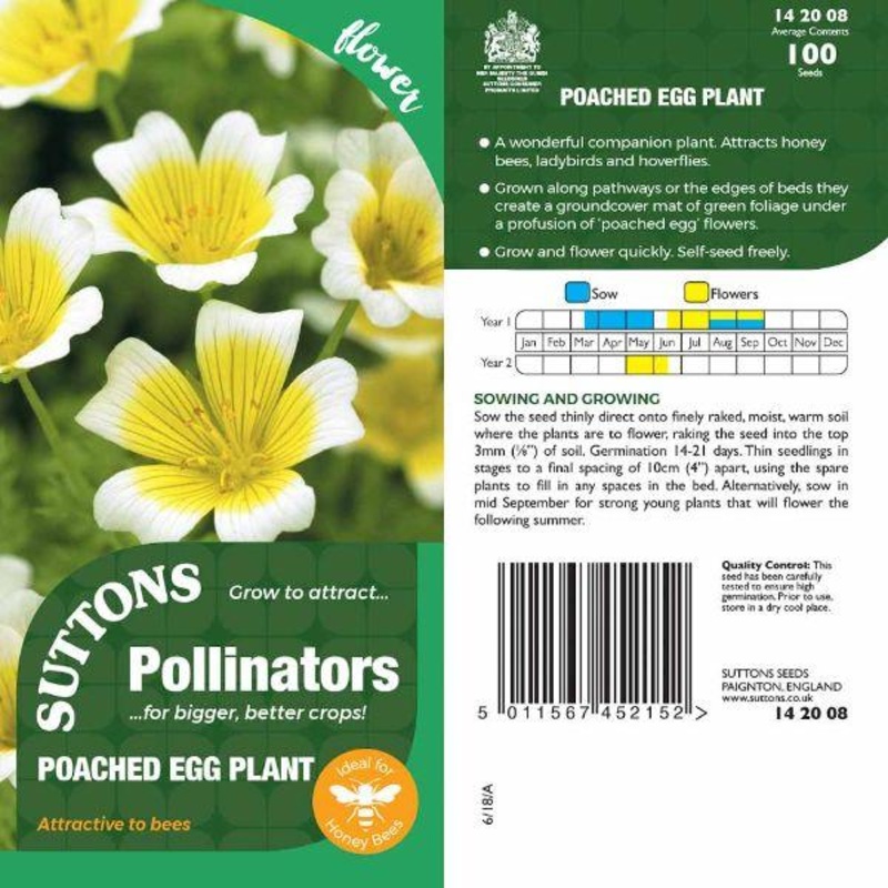 P & P – Poached Egg Plant