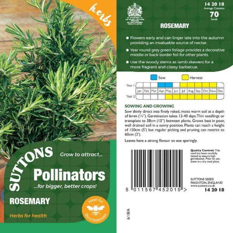 P & P – Rosemary