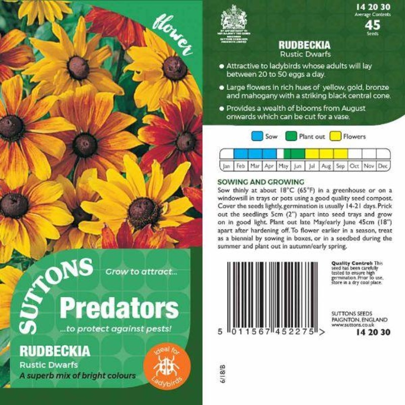 P & P – Rudbeckia Rustic Dwarfs