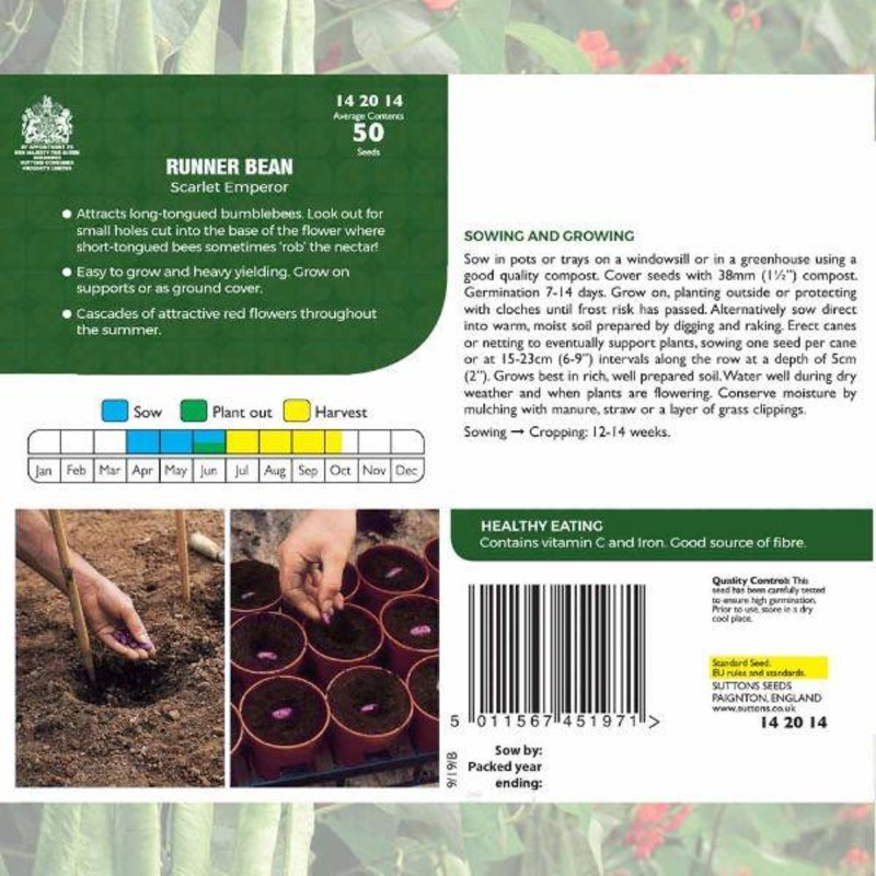 P & P – Runner Bean Scarlet Emperor