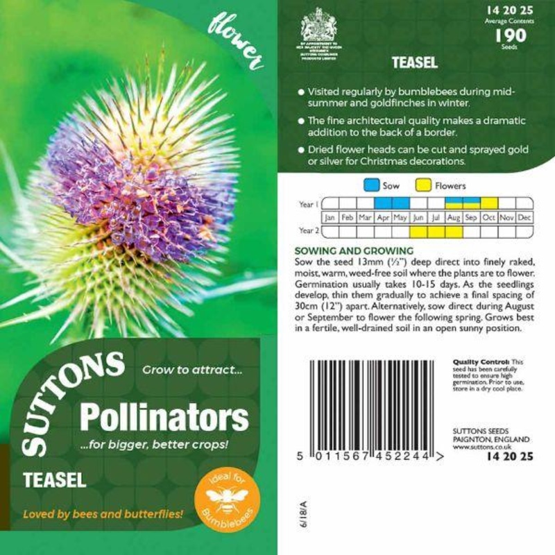 P & P – Teasel