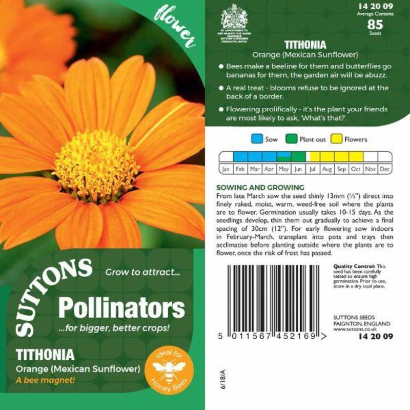 P & P – Tithonia Orange (Mexican Sunflower)