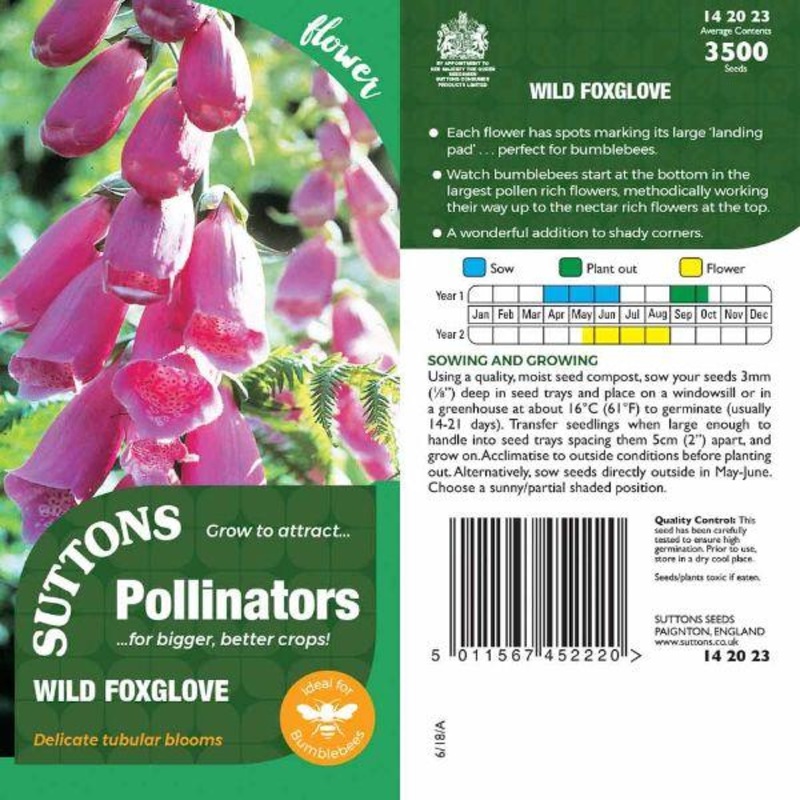 P & P – Wild Foxglove