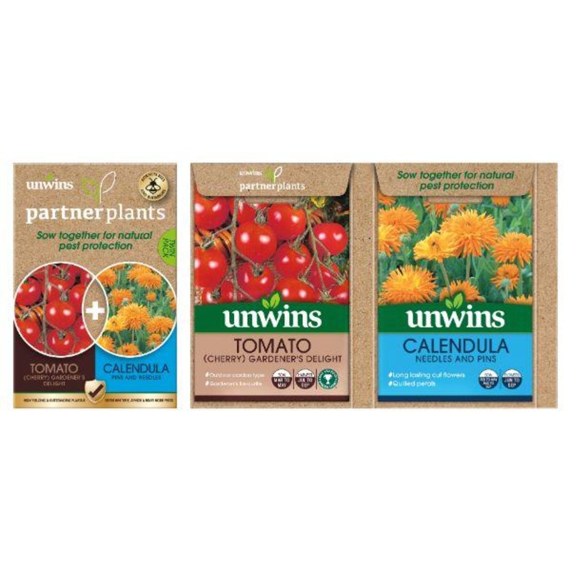 Partner Plants Tomato Calendula