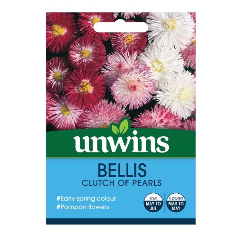 Unwins Seed Packet Bellis Clutch Of Pearls