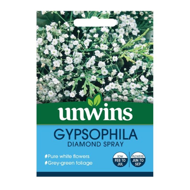 Unwins Seed Packet Gypsophila Diamond Spray