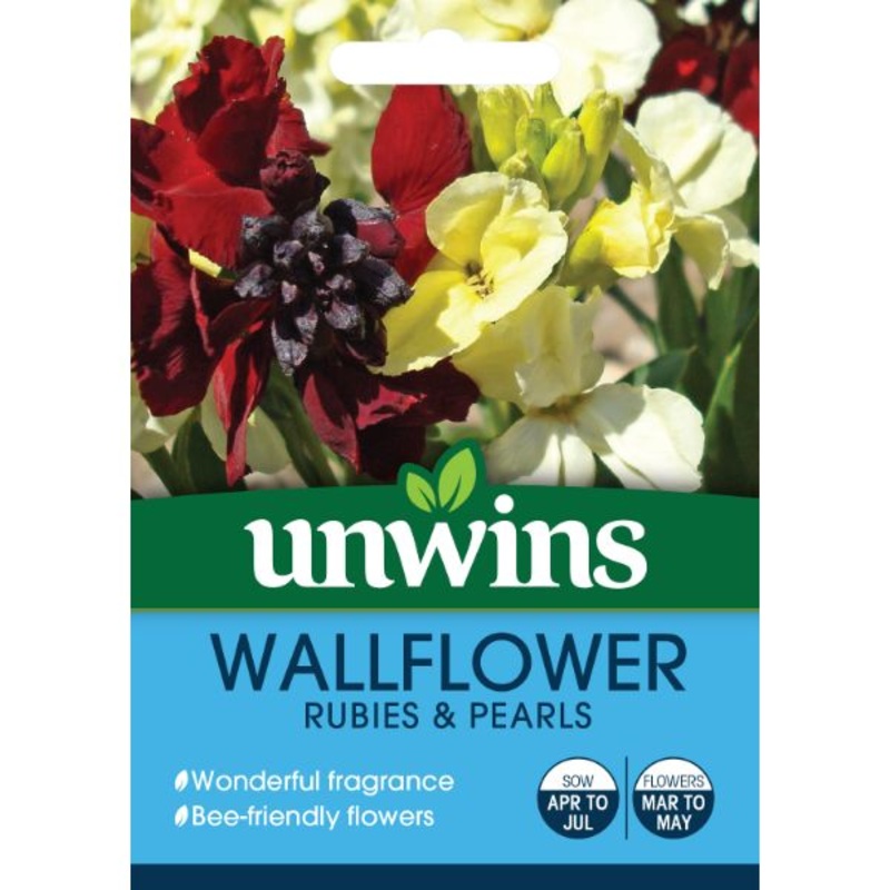 Unwins Seed Packet Wallflower Rubies & Pearls
