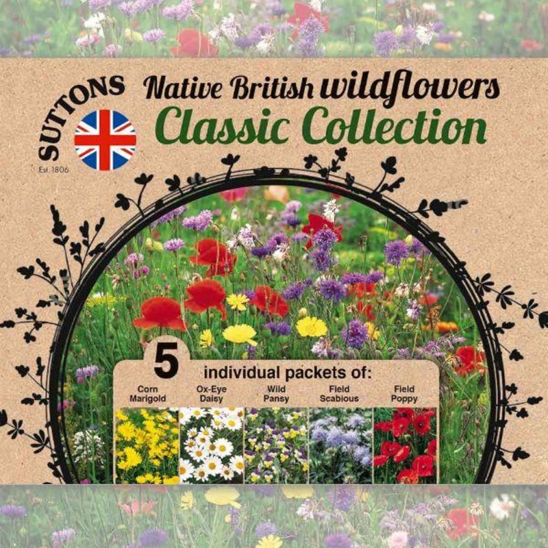 Wildflower Collection