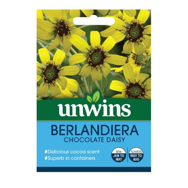 Unwins Seed Packet Berlandiera Chocolate Daisy