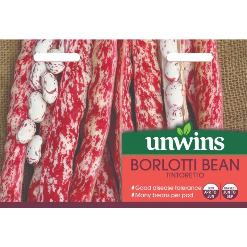 Unwins Seed Packet Borlotti Bean Tintoretto