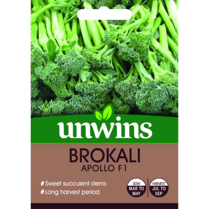 Unwins Seed Packet Brokali Apollo F1
