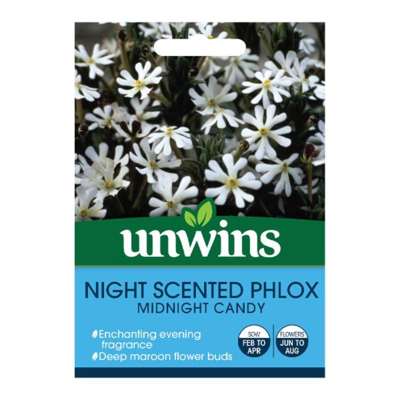 Unwins Seed Packet Night Phlox Midnight Candy