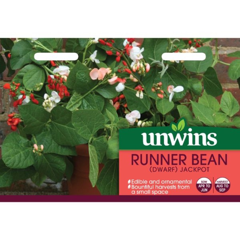 Unwins Seed Packet Runner Bean (Dwarf) Jackpot
