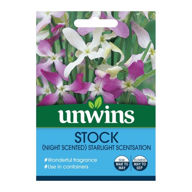Unwins Seed Packet Stock Night Scented Starlight Scentsation