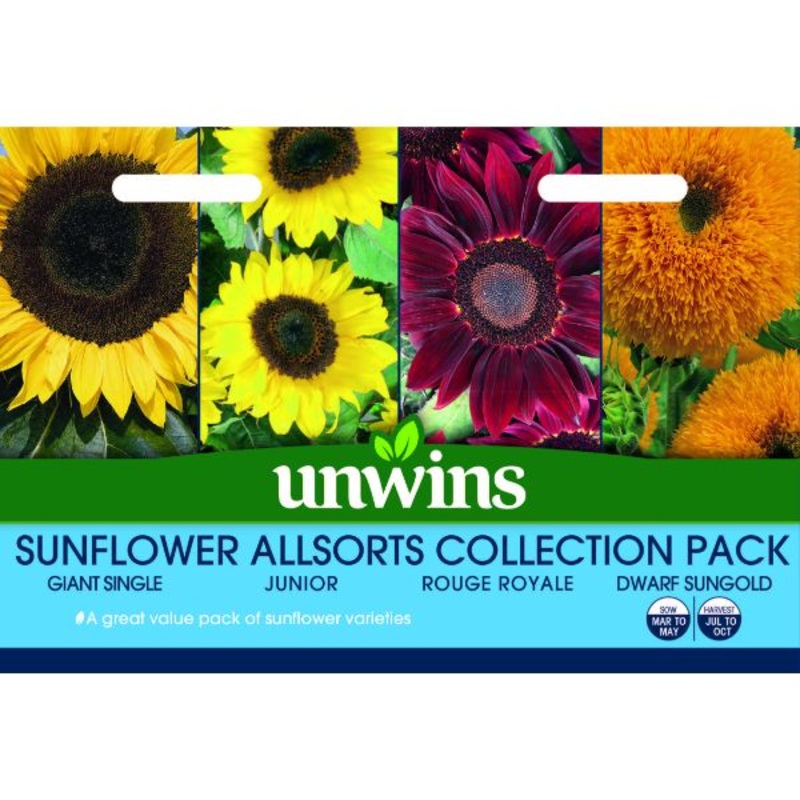 Unwins Seed Packet Sunflower Allsorts Collection 4 In 1