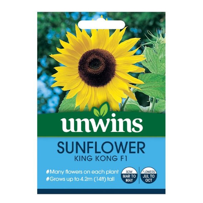Unwins Seed Packet Sunflower King Kong F1