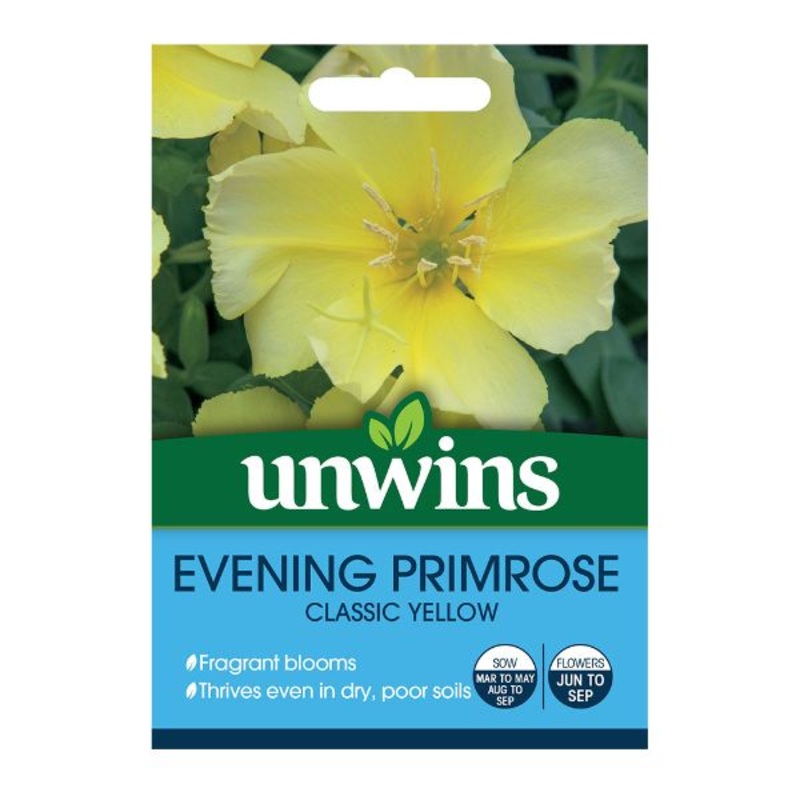 Unwins Seed Packet Wildflower Evening Primrose