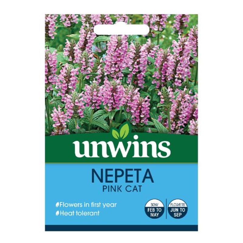 Unwins Seed Packet Nepeta Pink Cat